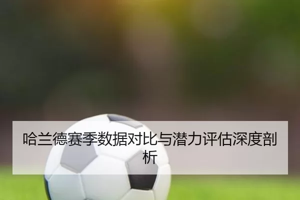 哈兰德赛季数据对比与潜力评估深度剖析