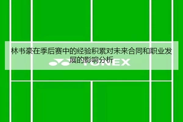 林书豪在季后赛中的经验积累对未来合同和职业发展的影响分析